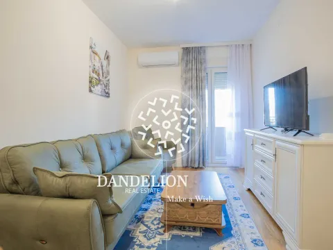 Izdavanje, jednosoban stan, 40m², Central Point, Podgorica - image 2