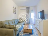 Izdavanje, jednosoban stan, 40m², Central Point, Podgorica - image 2