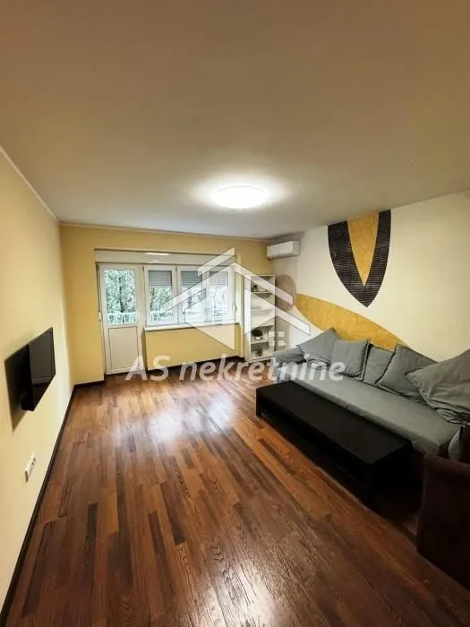 Izdavanje, dvosoban stan, 55m², Novi Beograd Sve Podlokacije, Beograd
