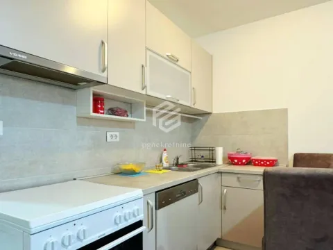 Izdavanje, stan, 30m², Stari Aerodrom, Podgorica - image 5