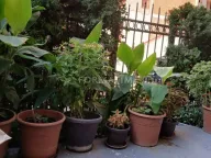 Prodaja, dvosoban stan, 55m², Banjica, Voždovac Sve Podlokacije - image 8