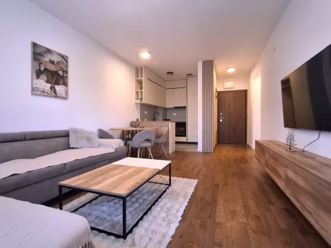 Rent, apartment, 46m², Stari Aerodrom, Podgorica - image 1