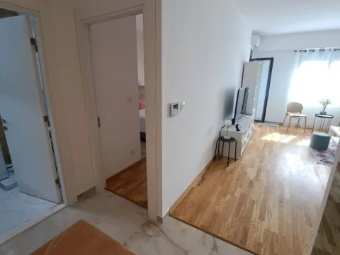 Rent, one bedroom apartment, 54m², Zagorič, Podgorica - image 9