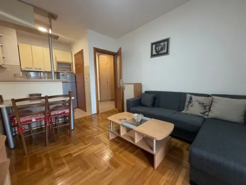 Izdavanje, jednosoban stan, 40m², Stari Aerodrom, Podgorica - image 2