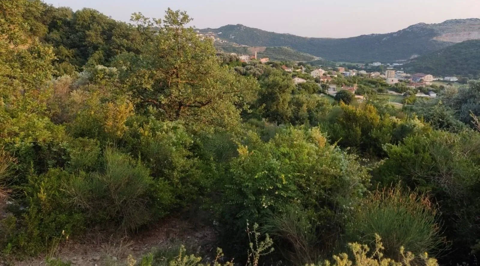 Prodaja, plac, 9880m², Bar, Crna Gora
