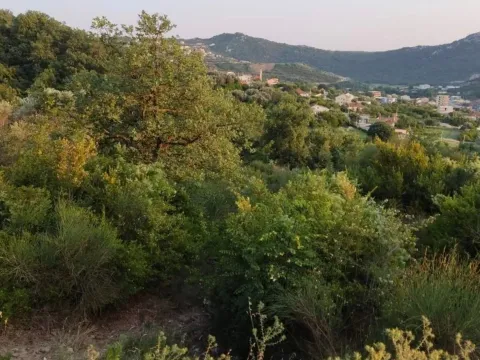 Prodaja, plac, 9880m², Bar, Crna Gora - image 6