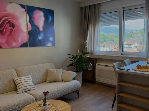 Izdavanje, jednosoban stan, 45m², Centar, Tivat - image 3