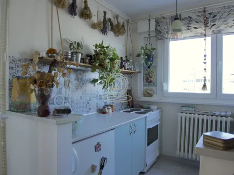 Prodaja, dvosoban stan, 55m², Železnička Stanica, Novi Sad Sve Podlokacije - image 7