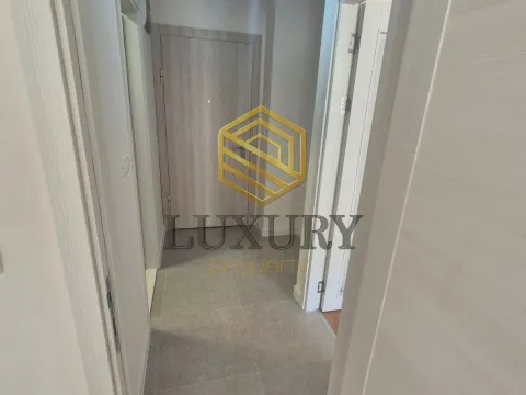 Rent, one bedroom apartment, 40m², Zabjelo, Podgorica - image 2