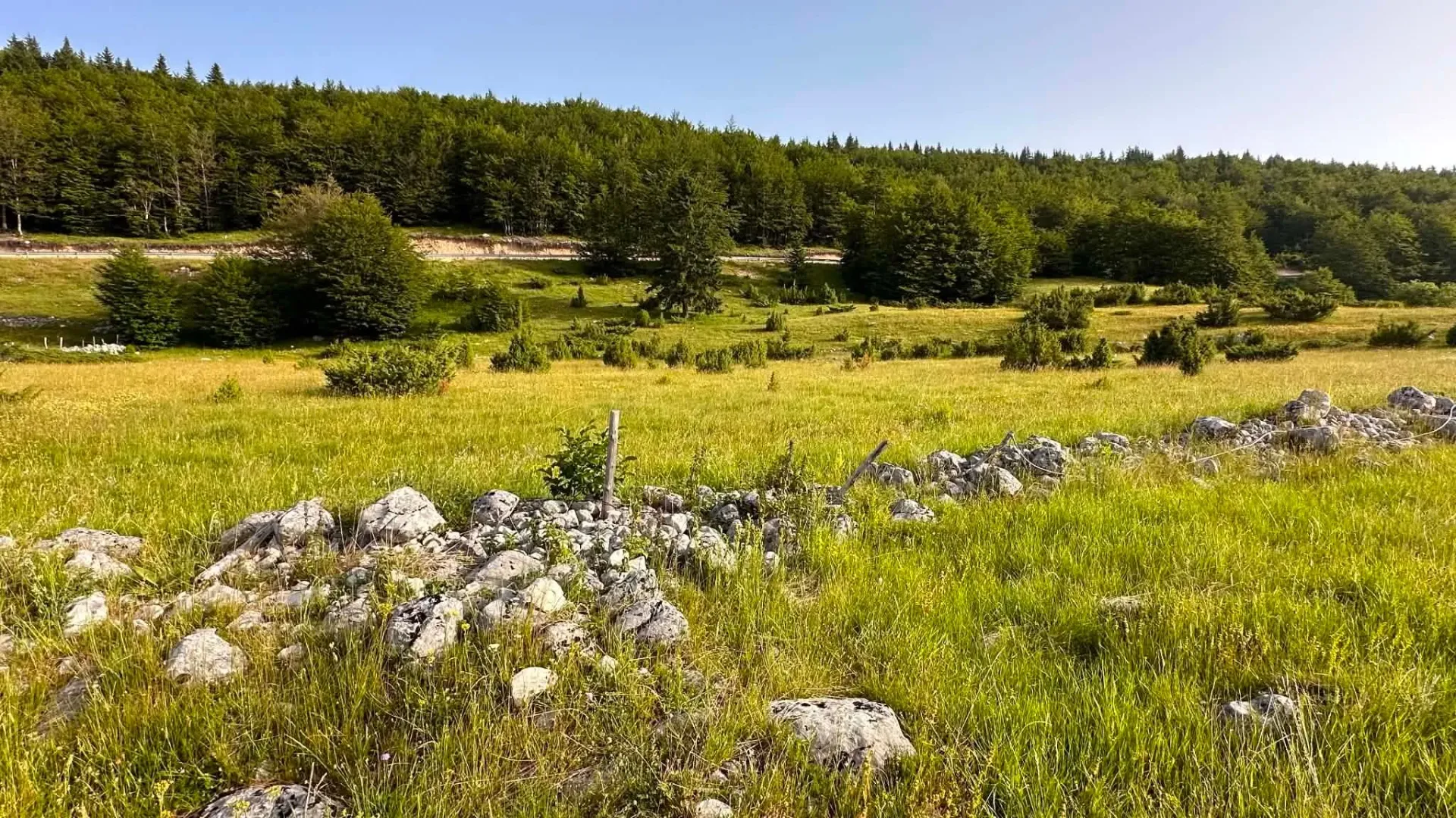 Prodaja, plac, 2500m², Motički gaj, Žabljak