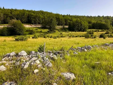 Prodaja, plac, 2500m², Motički gaj, Žabljak - image 4
