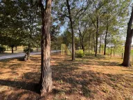 Izdavanje, kuća, 356m², Čenej, Novi Sad Sve Podlokacije - image 4