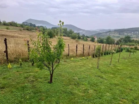 Prodaja, kuća, 190m², Dapsići, Berane - image 5