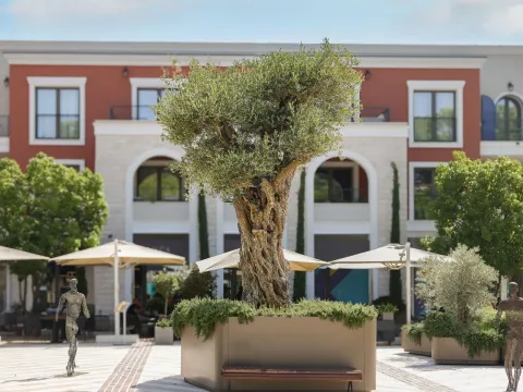 Sale, three bedroom apartment, 138m², Luštica, Herceg Novi - image 14