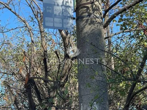 Prodaja, plac, 7092m², Glumčevo brdo, Barajevo - image 4