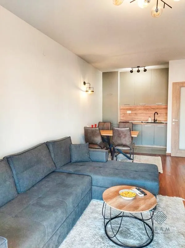 Izdavanje, jednosoban stan, 49m², Master Kvart, Podgorica