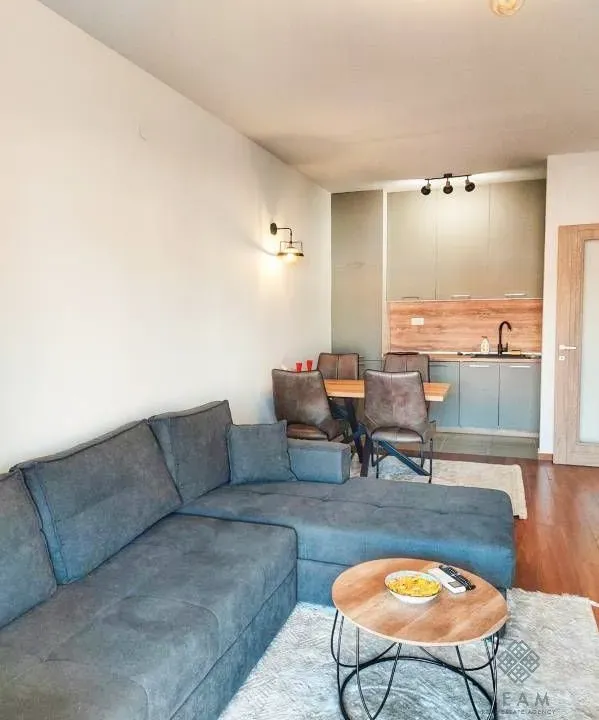 Rent, one bedroom apartment, 49m², Master Kvart, Podgorica