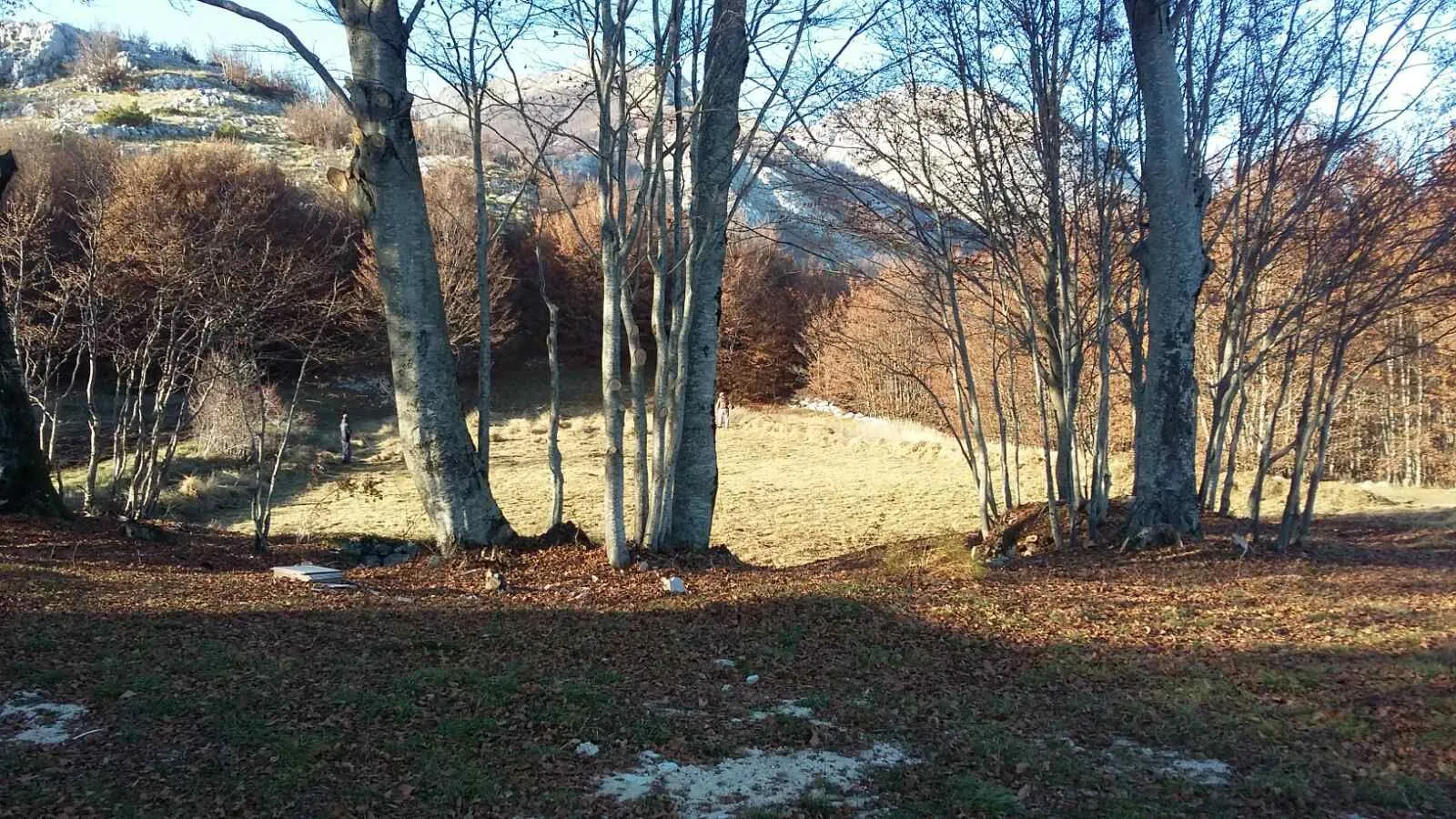 Prodaja, plac, 3002m², Ivanova Korita, Cetinje