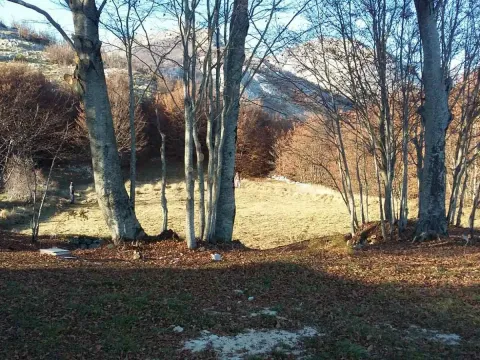 Prodaja, plac, 3002m², Ivanova Korita, Cetinje - image 8