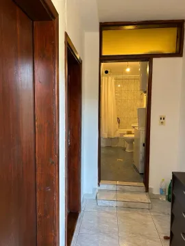 Rent, one bedroom apartment, 50m², Tološka šuma, Podgorica - image 5