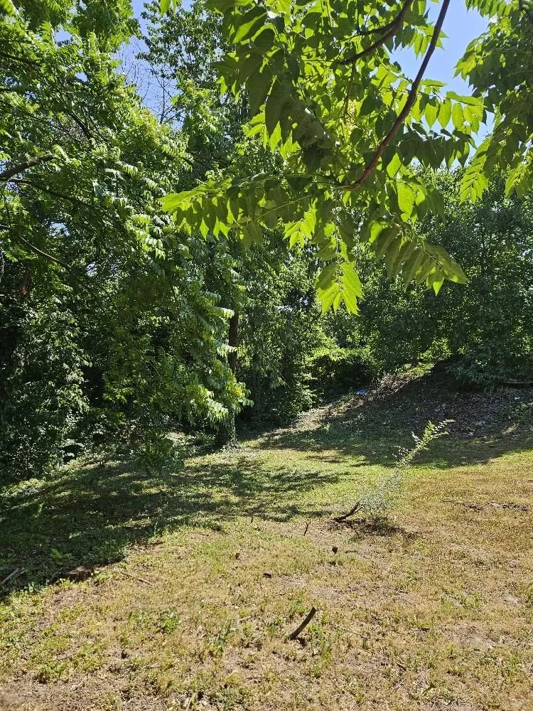 Prodaja, plac, 5000m², Stari Slankamen, Inđija
