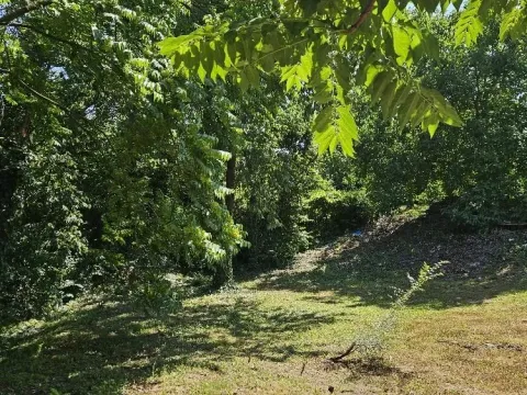 Sale, land lot, 5000m², Stari Slankamen, Inđija - image 12