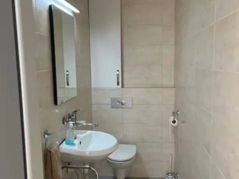 Small bathroom with a sink, toilet, and built-in cabinets. - image 11