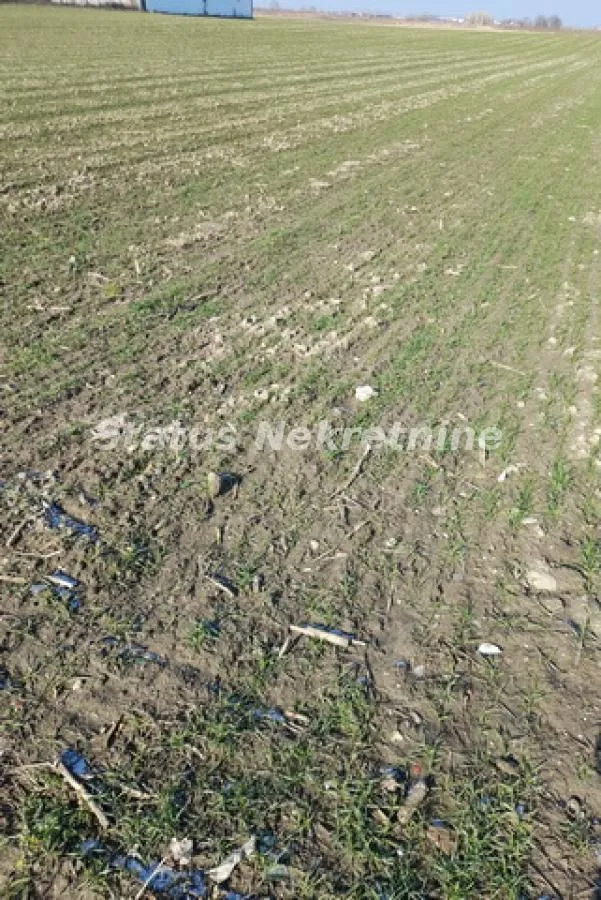 Prodaja, plac, 2500m², Futog, Novi Sad Sve Podlokacije