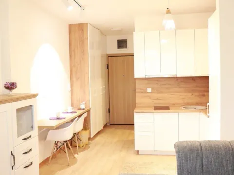 Rent, studio apartment, 30m², Budva, Crna Gora - image 15