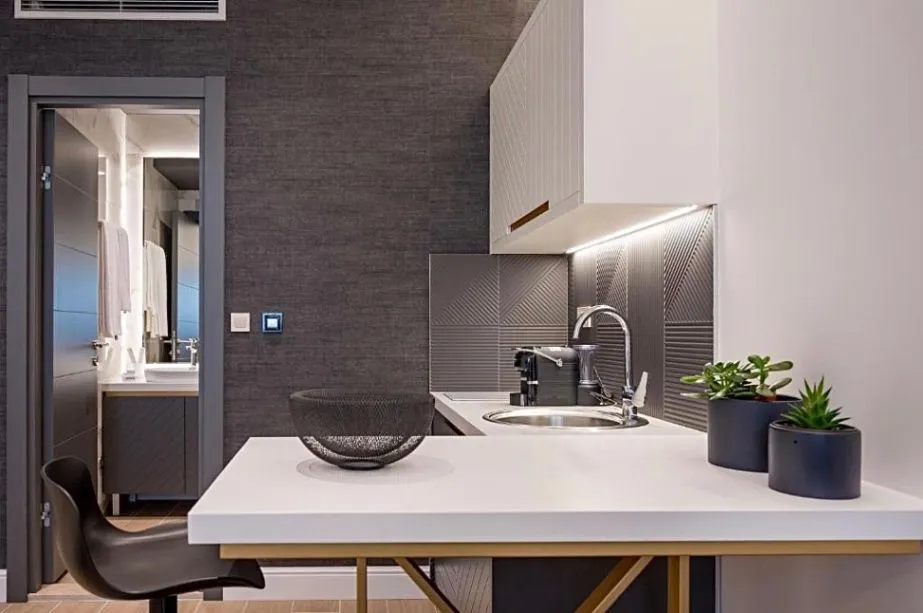 Prodaja, ugostiteljski objekat, 317m², Velji Vinogradi, Budva