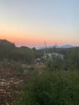 Pogled na kuću i okolno zelenilo u sumrak. - image 3