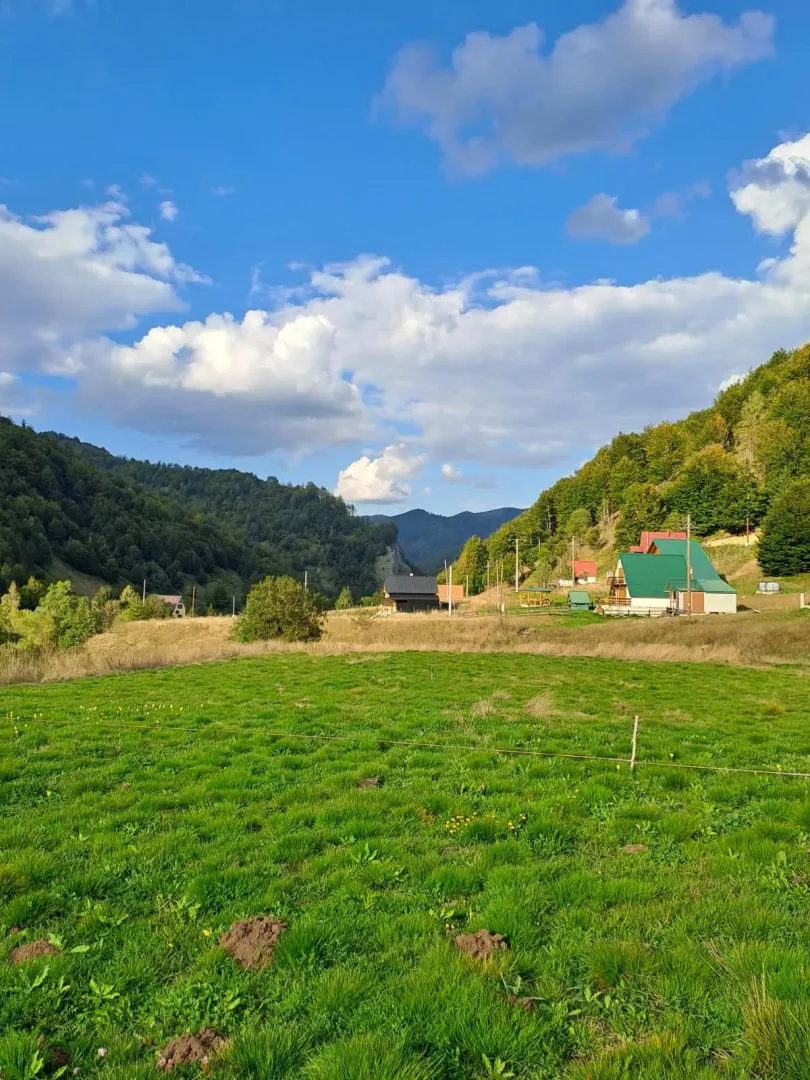 Pogled na zelenu livadu i vikendice u prirodi.