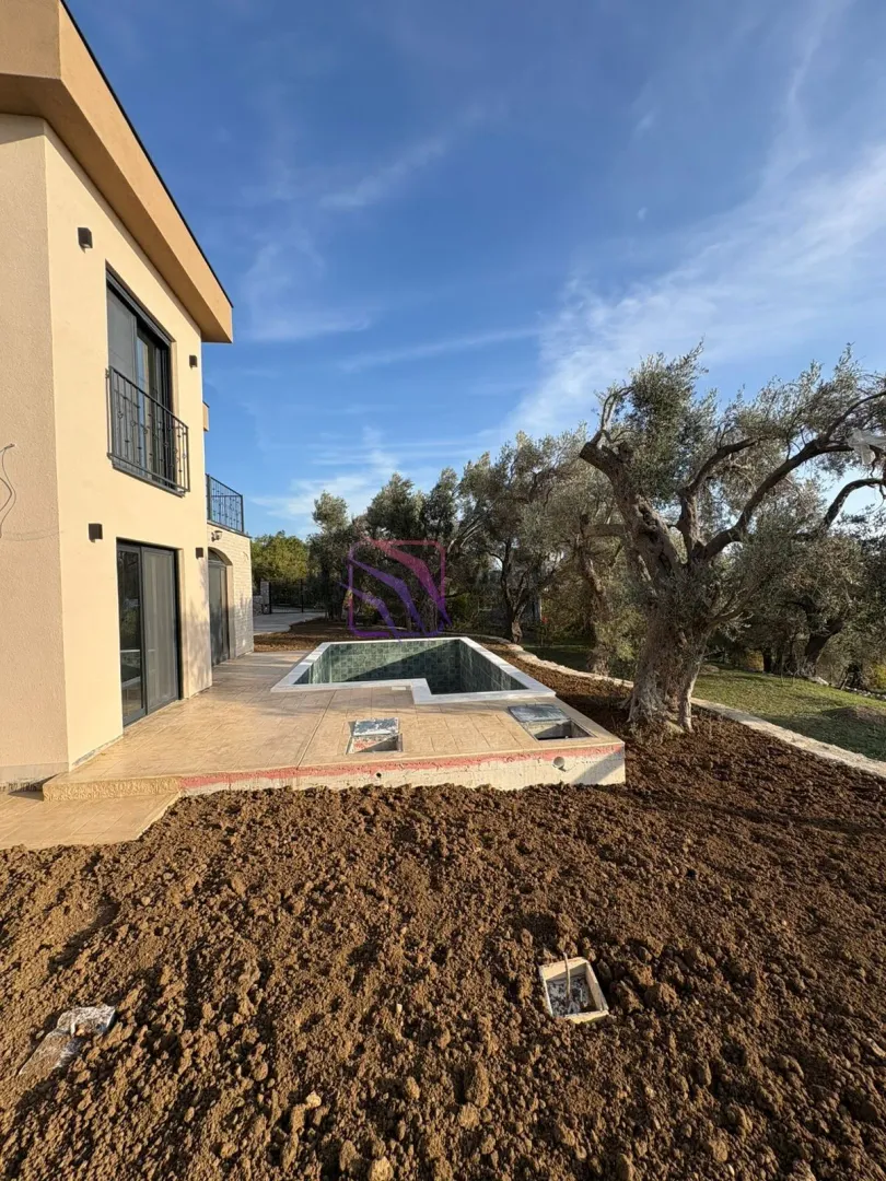 View of the house yard with a swimming pool under construction and landscaped surroundings.