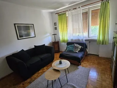 Rent, one bedroom apartment, 33m², Zemun Centar, Zemun Sve Podlokacije - image 5