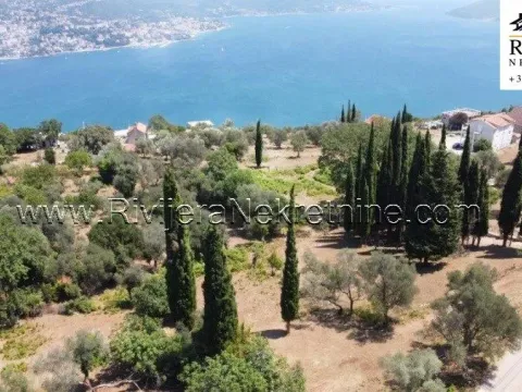 Prodaja, plac, 2391m², Žvinje, Herceg Novi - image 2