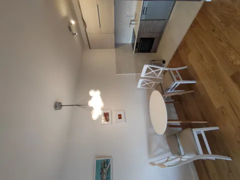 Rent, one bedroom apartment, 49m², Central Point, Podgorica - image 2