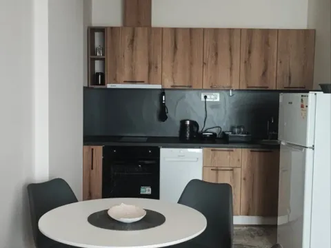 Rent, one bedroom apartment, 59m², Stara Varoš, Podgorica - image 4