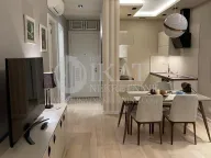 Izdavanje, dvosoban stan, 50m², Novi Beograd Sve Podlokacije, Beograd - image 9