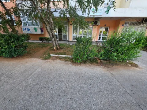 View of the building entrance with greenery and trees in the yard. - image 2