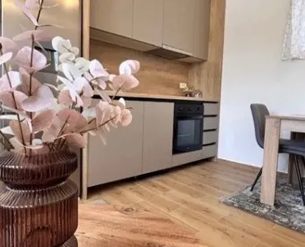 Izdavanje, dvosoban stan, 55m², Gornja Gorica, Podgorica - image 5