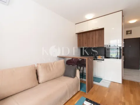 Izdavanje, garsonjera, 27m², Stari Aerodrom, Podgorica - image 17