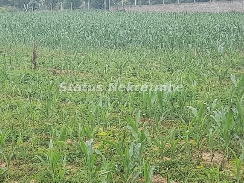 Prodaja, plac, 900m², Beočin, Srbija