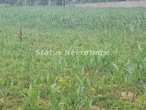 Sale, land lot, 900m², Beočin, Srbija - image 8