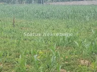 Prodaja, plac, 9m², Beočin, Srbija - image 8