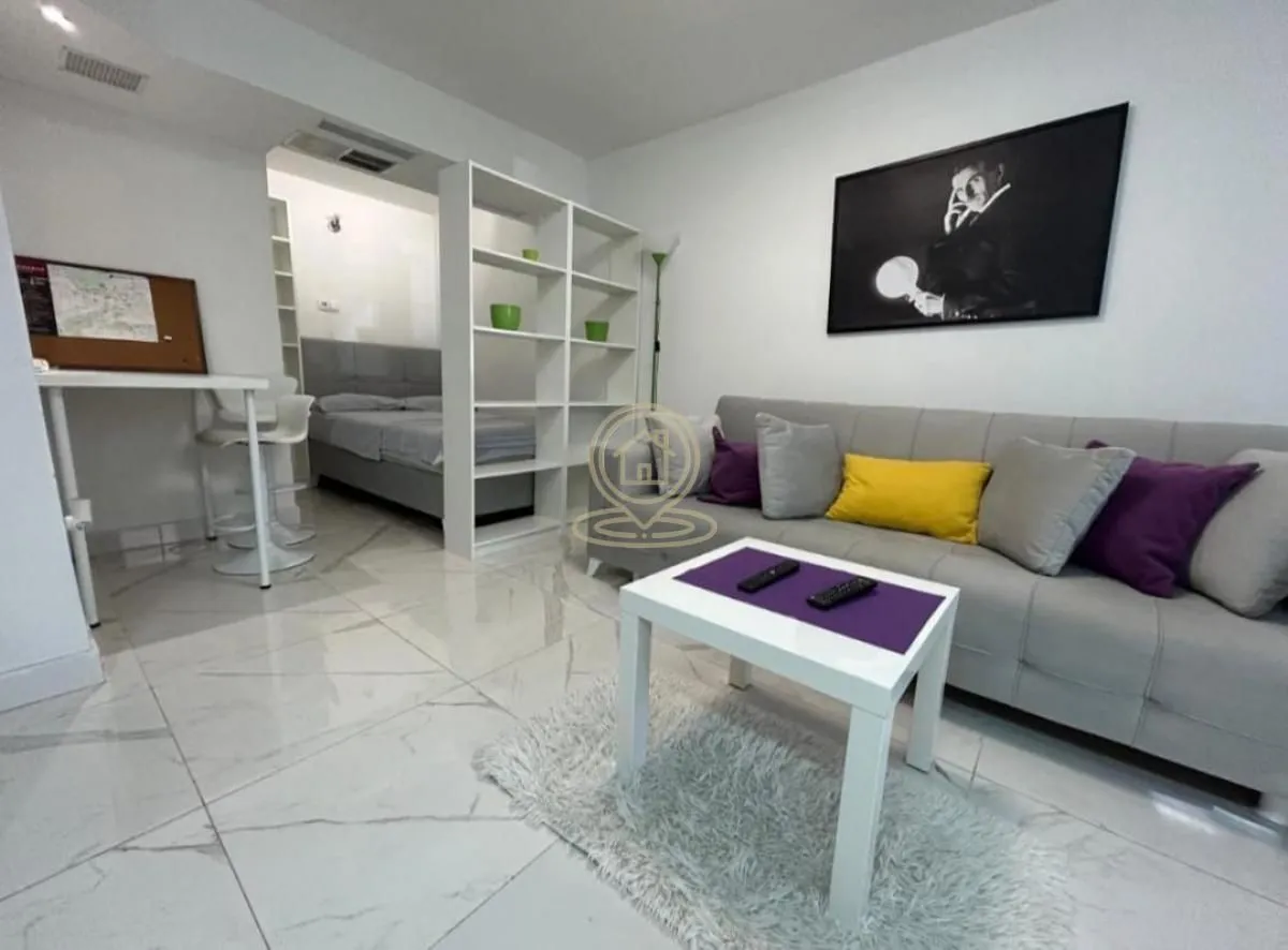 Rent, one bedroom apartment, 30m², Vračar Sve Podlokacije, Beograd