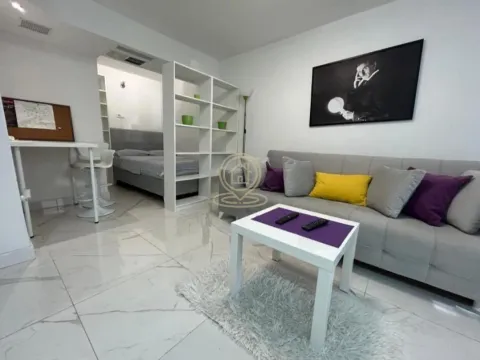 Rent, one bedroom apartment, 30m², Vračar Sve Podlokacije, Beograd - image 3