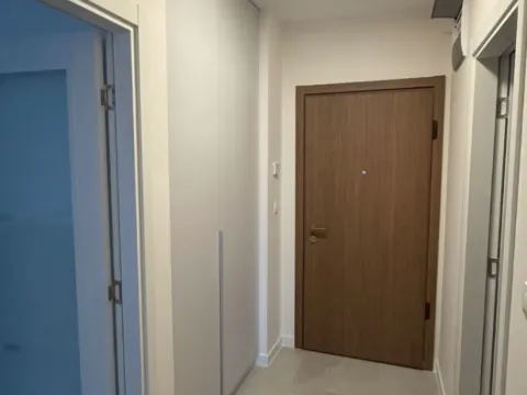 Izdavanje, jednosoban stan, 49m², Central Point, Podgorica - image 7