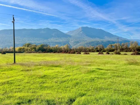 Prodaja, plac, 22000m², Danilovgrad, Crna Gora - image 6