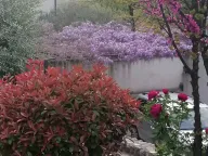 Sale, house, 350m², Vranići, Podgorica - image 2