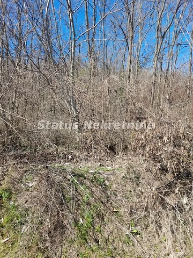 Prodaja, plac, 7025m², Sremski Karlovci, Novi Sad